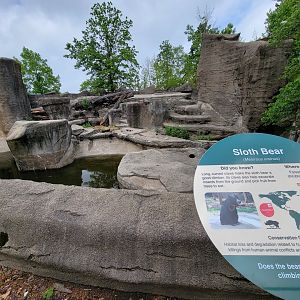 Cleveland Zoo - Sloth bear/American black bear rotational exhibit