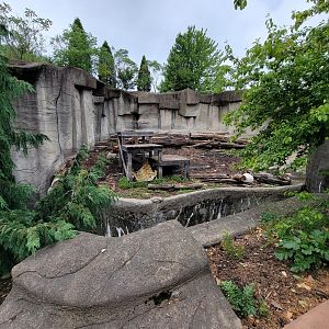 Cleveland Zoo - Grizzly bears