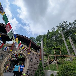 Cleveland Zoo - Asia Passage, Snow leopard