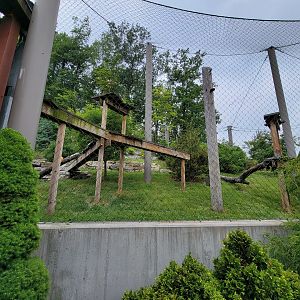 Cleveland Zoo - Asia Passage, Snow leopard yard