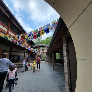 Cleveland Zoo - Asia Passage theming (and a dog!)