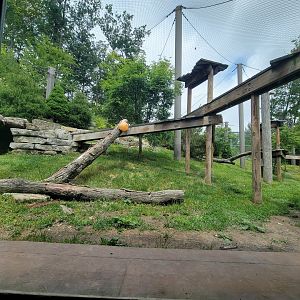 Cleveland Zoo - Asia Passage