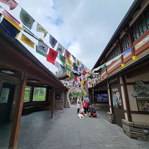 Cleveland Zoo - Asia Passage theming