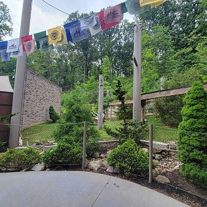 Cleveland Zoo - Asia Passage, a weird position for a leopard :)