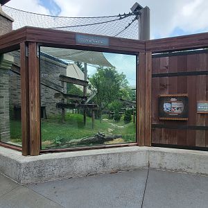 Cleveland Zoo - Asia Passage, Red pandas