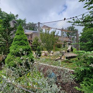 Cleveland Zoo - Asia Passage