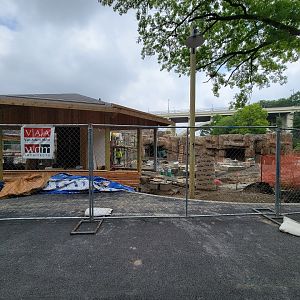 Cleveland Zoo - Bear Hollow construction (June 14 2023)