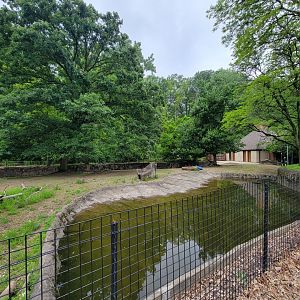 Cleveland Zoo - Reindeer