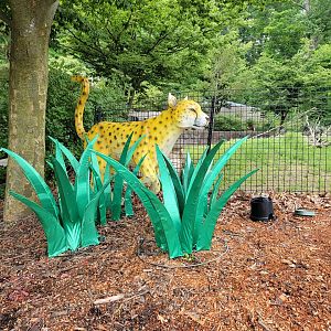 Cleveland Zoo - A cheetah :)