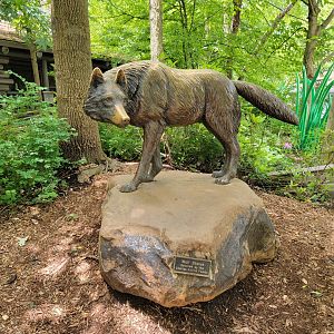 Cleveland Zoo - Wolf Lodge, Entrance statue