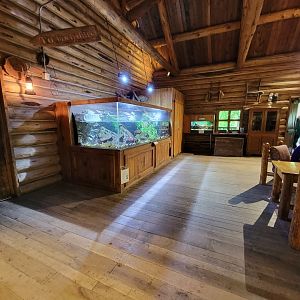 Cleveland Zoo - Wolf Lodge, brook trout