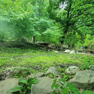 Cleveland Zoo - Wolf Lodge, Mexican gray wolves
