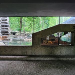 Cleveland Zoo - Wolf Lodge, Beaver