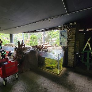 Cleveland Zoo - Wolf Lodge, Bald eagle exhibit