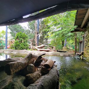 Cleveland Zoo - Wolf Lodge, Bald eagle exhibit