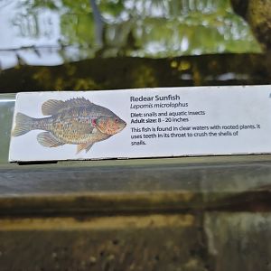 Cleveland Zoo - Wolf Lodge, signage example