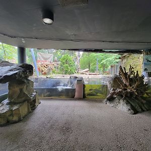 Cleveland Zoo - Wolf Lodge, Bald eagle exhibit