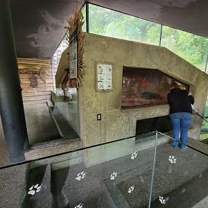 Cleveland Zoo - Wolf Lodge, Beaver