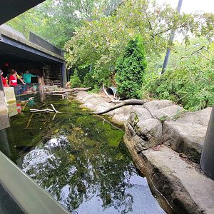 Cleveland Zoo - Wolf Lodge, Pond