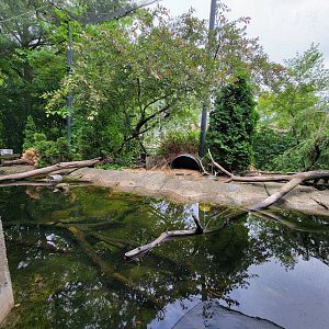 Cleveland Zoo - Wolf Lodge, Pond