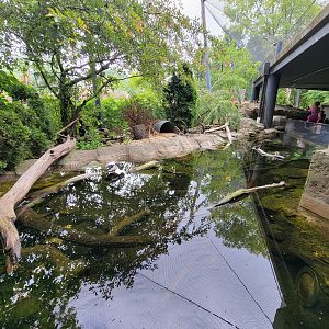 Cleveland Zoo - Wolf Lodge, Pond