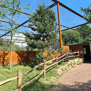 New Tiaga aviary
