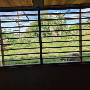 Taiga aviary - Smaller viewing hut