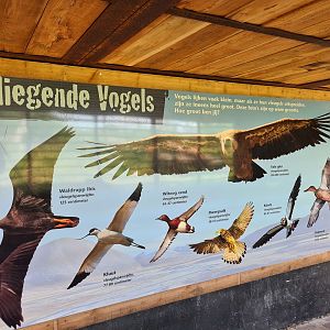 Taiga aviary - Wingspan signage