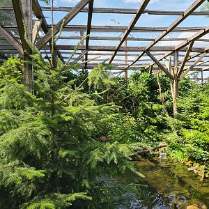 Taiga - Parakeet paradise aviary