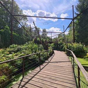 Taiga - Odd birds aviary
