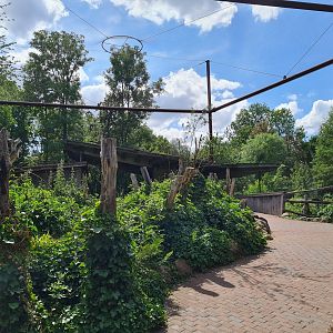 Taiga - Odd birds aviary