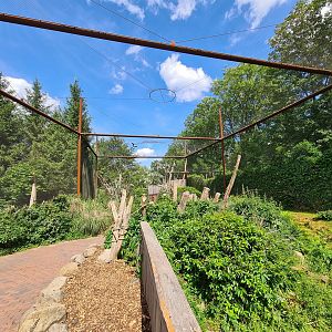 Taiga - Odd birds aviary