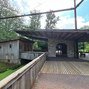 Taiga - Odd birds aviary exit