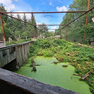 Taiga - Odd birds aviary