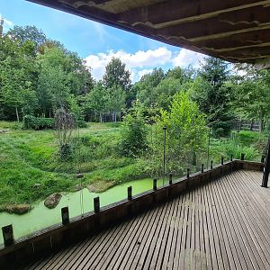 Taiga - Eurasian grey wolf enclosure