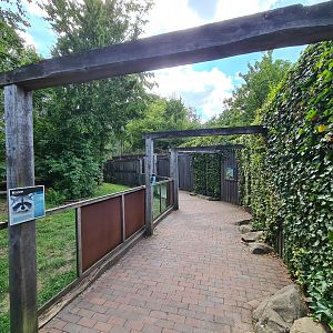 Taiga - Raccoon enclosure viewing area