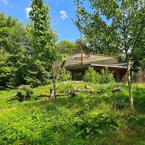 Taiga - Eurasian grey wolf enclosure