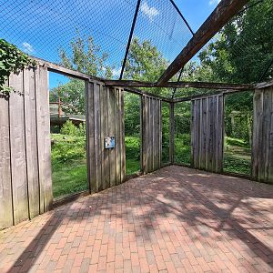 Taiga - Grey wolf viewing area