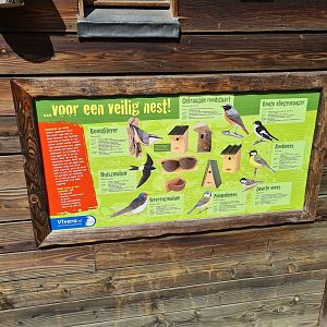 Taiga - Bird house signage