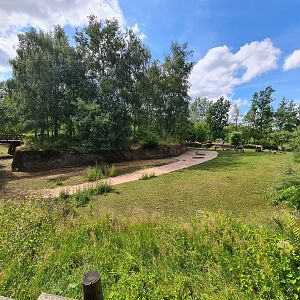 Taiga - Reindeer enclosure