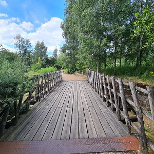 Taiga - Bridge over reindeer enclosure