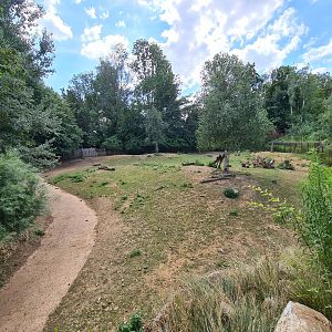 Taiga - Reindeer enclosure