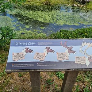 Taiga - Reindeer antlers signage