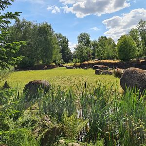 Taiga - Reindeer enclosure