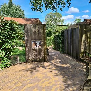 Taiga - European lynx and Barbary macaque enclosures