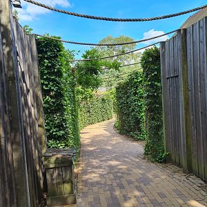 Taiga - Walkway between European lynx and Barbary macaque enclosures