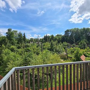 Taiga - View over Barbary macaque enclosure