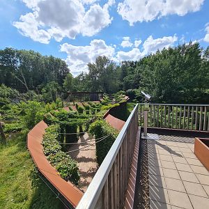 Taiga - Barbary macaque and European lynx enclosures