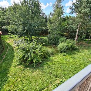 Taiga - first European lynx enclosure