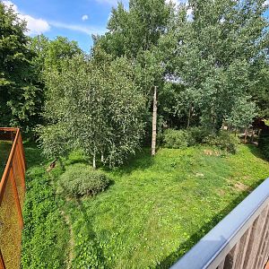 Taiga - Second European lynx enclosure